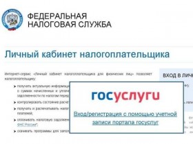 ФНС на портале госуслуг