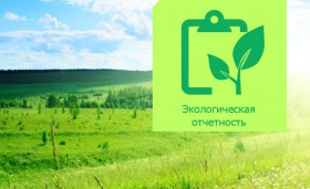 Разбор экологической отчетности для Вашего бизнеса