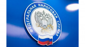 Уточнять платежи в ФНС стало проще. Заработал специальный сервис