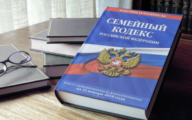 Главные изменения в семейном законодательстве за 2022 год