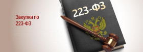 О новых правилах закупок по 223-ФЗ для Заказчика (организации и компании)