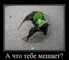 Что мешает Вашему бизнесу?