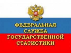 Росстат ввел новые отчеты для бизнеса