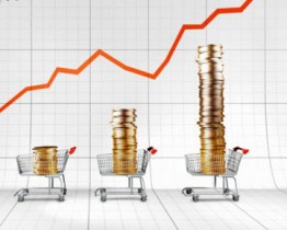 Горячая линия мониторинга цен на продукты в крае