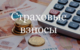 Страховые взносы для предпринимателей в следующем году останутся на прежнем уровне