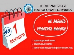 1 декабря 2017 года – крайний срок уплаты налогов!