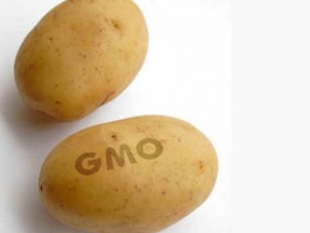 За нарушение правил маркировки продуктов будут штрафовать