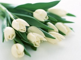 Дорогие, любимые женщины!