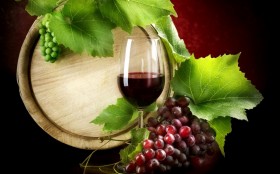 Под Новороссийском создадут центр поддержки виноделия