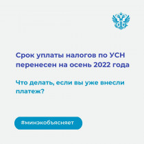 Срок уплаты налогов по упрощенной системе перенесен на осень 2022 года