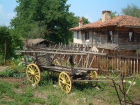 В Краснодарском крае создана Ассоциация аграрного туризма
