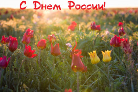 С Днём России!