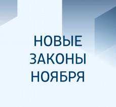 Законы для бизнеса в ноябре 2023 года