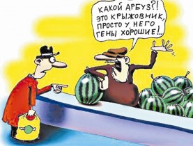 За отсутствие маркировки ГМО-продукции будут наказывать