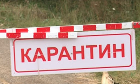 Режим карантина в Краснодарском крае продлен до 11 мая включительно