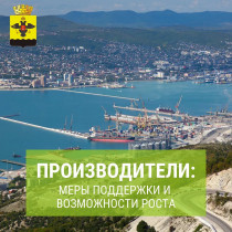 Производители: меры поддержки и возможности роста
